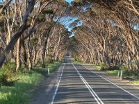 11. Reisetag – Ausflug nach Kangaroo Island