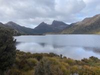 9. Reisetag – Tasmanien – Cradle Mountain-Lake St Clair National Park – Wanderung um den Dove Lake