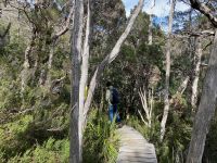 9. Reisetag – Tasmanien – Cradle Mountain-Lake St Clair National Park – Wanderung um den Dove Lake