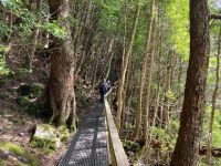 9. Reisetag – Tasmanien – Cradle Mountain-Lake St Clair National Park – Wanderung um den Dove Lake