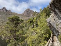 9. Reisetag – Tasmanien – Cradle Mountain-Lake St Clair National Park – Wanderung um den Dove Lake