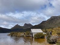 9. Reisetag – Tasmanien – Cradle Mountain-Lake St Clair National Park – Wanderung um den Dove Lake