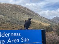 9. Reisetag – Tasmanien – Cradle Mountain-Lake St Clair National Park – Wanderung um den Dove Lake