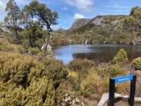 9. Reisetag – Tasmanien – Cradle Mountain-Lake St Clair National Park – Wanderung zum Crater Lake – Wombat Pool