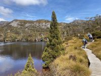 9. Reisetag – Tasmanien – Cradle Mountain-Lake St Clair National Park – Wanderung zum Crater Lake – Wombat Pool
