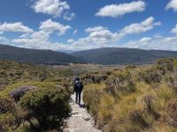 9. Reisetag – Tasmanien – Cradle Mountain-Lake St Clair National Park – Wanderung zum Crater Lake