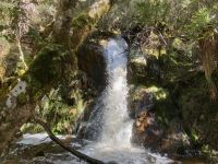 9. Reisetag – Tasmanien – Cradle Mountain-Lake St Clair National Park – Wanderung zum Crater Lake – Crater Falls