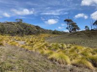 9. Reisetag – Tasmanien – Cradle Mountain-Lake St Clair National Park – Wanderung zum Crater Lake
