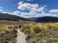 9. Reisetag – Tasmanien – Cradle Mountain-Lake St Clair National Park – Wanderung zum Crater Lake