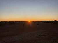 15. Reisetag – Sonnenaufgang im Outback