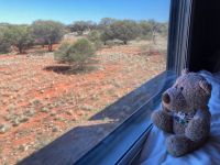 15. Reisetag – Weiterfahrt durchs Outback nach Alice Springs
