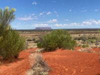 16. Reisetag – Von Alice Springs zum Uluru – Mount Conner