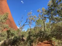 16. Reisetag – Ulu?u-Kata Tju?a National Park – Uluru (Ayers Rock)