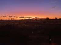 16. Reisetag – Ulu?u-Kata Tju?a National Park – Sonnenuntergang im Outback
