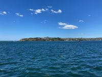 19. Reisetag – Freizeit in Sydney – Fahrt mit der Fähre nach Manly