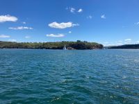 19. Reisetag – Freizeit in Sydney – Fahrt mit der Fähre nach Manly