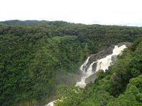 Australien - Cairns - Ausflug nach Kuranda - Barron Gorge