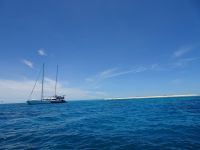 Australien - Great Barrier Reef  - Green Island