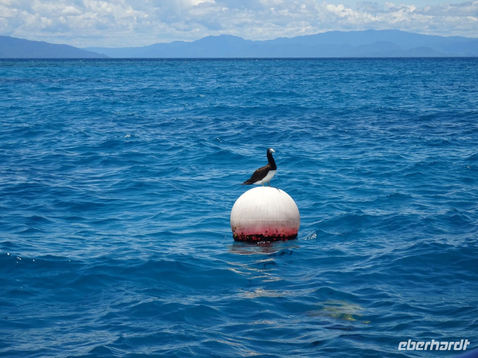 Australien - Great Barrier Reef  - Green Island