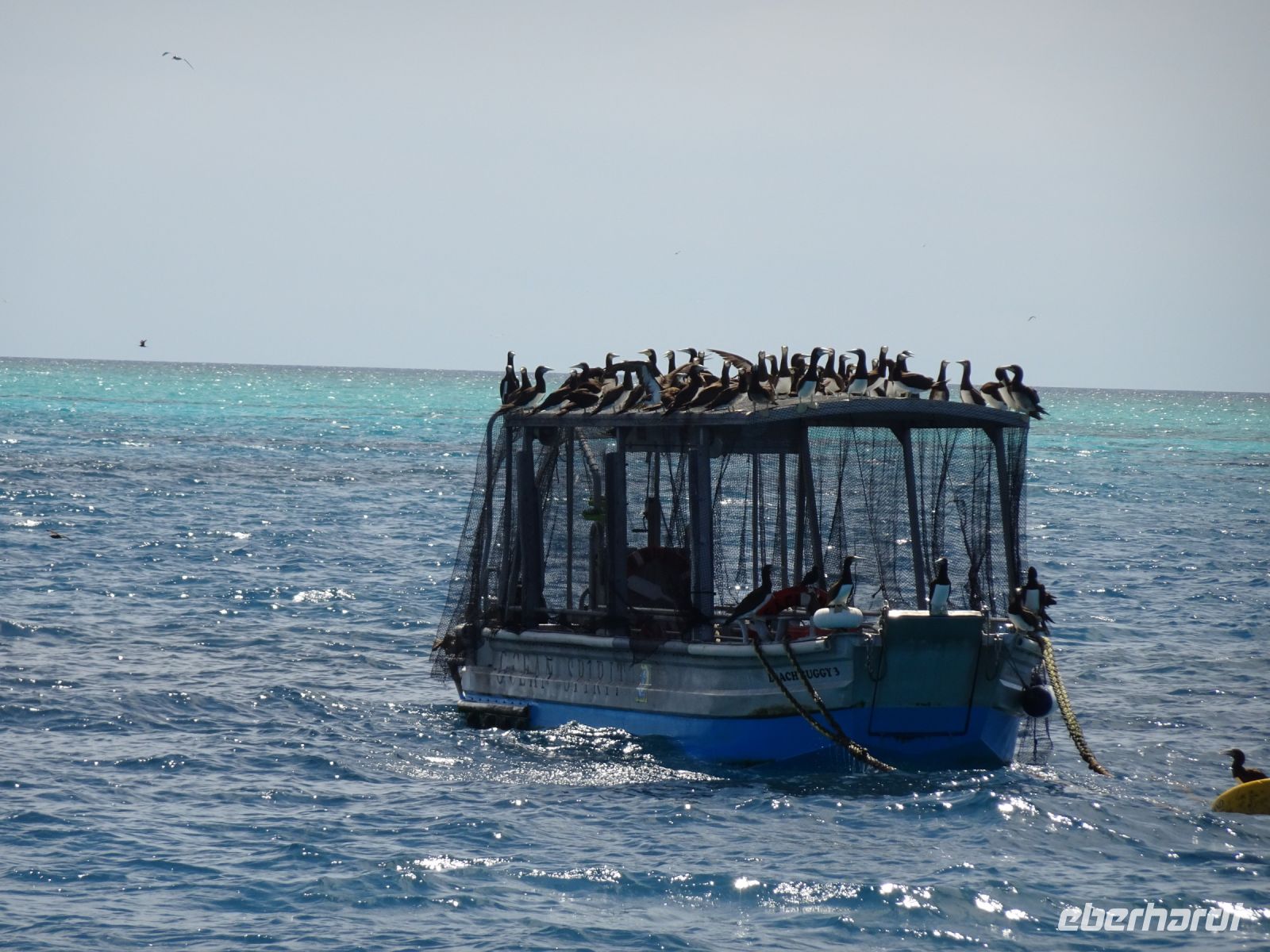 Australien - Great Barrier Reef  - Green Island
