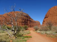 Australien - Uluru-Katatjuta-Nationalpark 