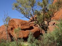 Australien - Uluru-Katatjuta-Nationalpark 