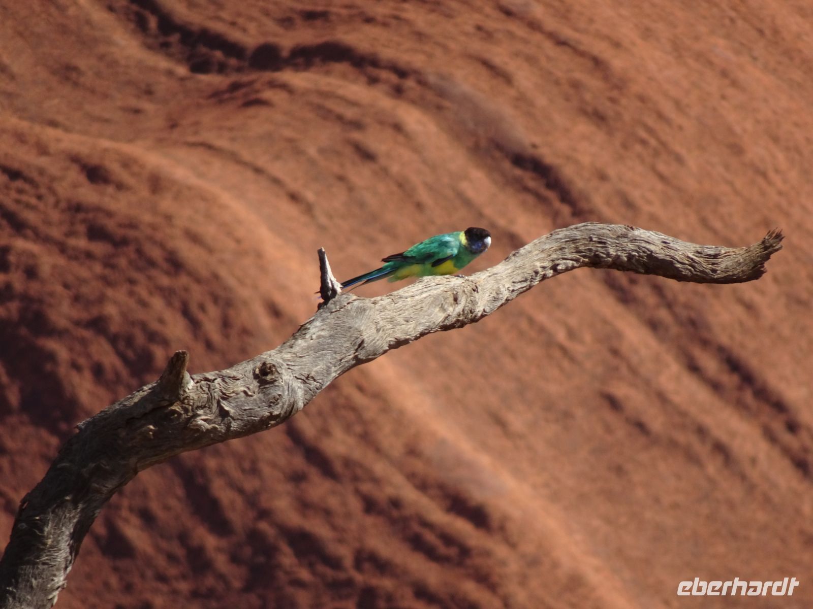 Australien - Uluru-Katatjuta-Nationalpark 