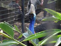 Australien - Sydney - Featherdale Wildlife Park 