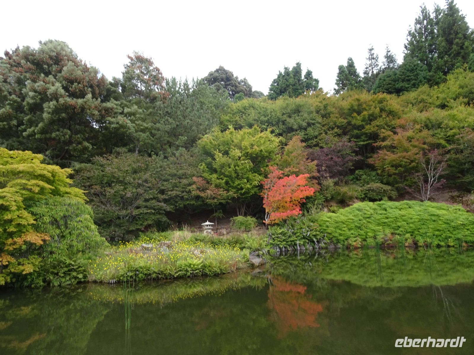 Tasmanien - Emu Valley Rhododendron Garden