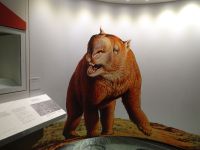 Australien - Melbourne - Museum