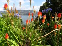 Neuseeland - Dunedin - Otago Halbinsel - Glenfalloch Woodland Gardens