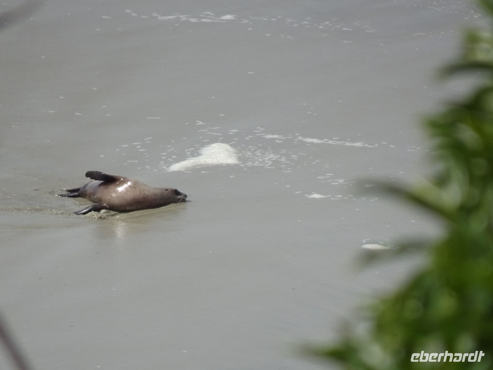 Neuseeland - Dunedin - Otago Halbinsel 