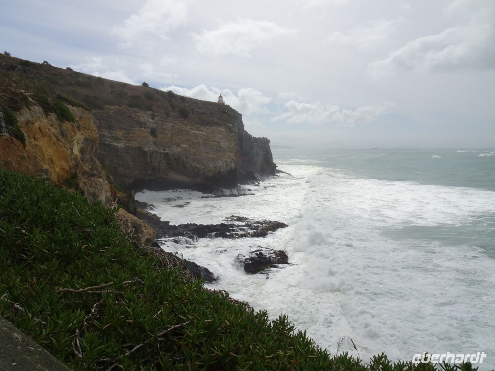 Neuseeland - Dunedin - Otago Halbinsel 