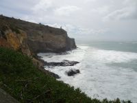 Neuseeland - Dunedin - Otago Halbinsel 