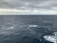 an Bord der Norwegian Spirit 