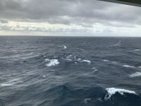 an Bord der Norwegian Spirit 