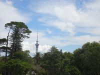 Neuseeland - Auckland 