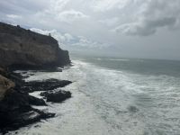 Neuseeland - Dunedin