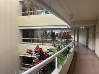 Australien - Cairns - Hotel Hilton Cairns