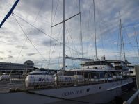 Australien - Cairns - Hafen - Katamaran Ocean Spirit