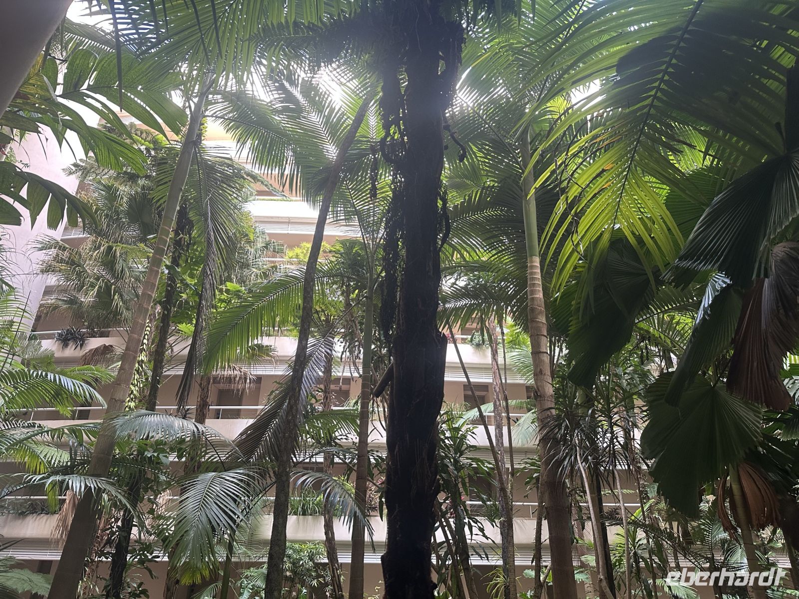 Australien - Cairns - Hotel Hilton Cairns