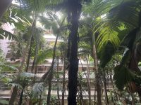 Australien - Cairns - Hotel Hilton Cairns