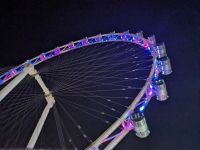 3. Singapore Flyer