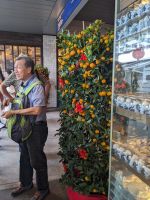 20. Reiseleiter Alvin