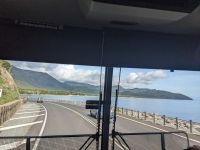 59. Daintree Nationalpark