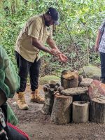 60. Daintree Nationalpark