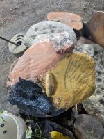 61. Daintree Nationalpark