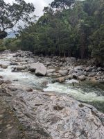 62. Daintree Nationalpark