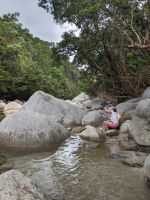 64. Daintree Nationalpark