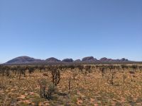 81. Uluru-Kata Tjuta National Park